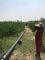 Sistema de riego de suministro de agua de tubería de polietileno rural de 40 mm y 50 mm